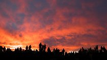 Maui Haleakala Sunrise Downhill Bike Tour with Mountain Riders Rated #1