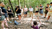 Cu Chi Tunnels Half Day - Small Group