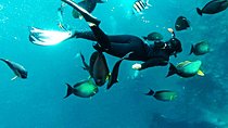Snorkeling Package at Tulamben Liberty Shipwreck