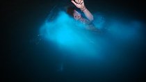 Luminous Lagoon Tour from Montego Bay ( Glistening Waters)