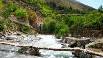 Private day trip to the Ourika Valley