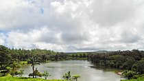 Private Craft Tour: Tea Factory - Rhumerie - Diamond Museum - Ship Model Factory