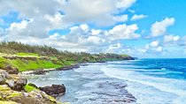 South Mauritius Private Day Tour: Tea Factory, Nature Park and Wild South Coast