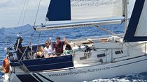 Private Yacht Tour With Whale and Dolphin Watching 33 Foot Boat