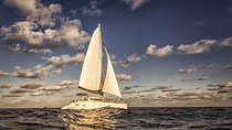 Private Deluxe Lobster Dinner In A Catamaran