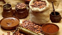 Quintana Roo 5 hours Chocolate Maya Ceremony and Temazcal Maya Ritual Tour