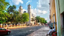Private Tour Colonial City of Valladolid, Pink Waters of Las Coloradas and Pink Flamingos