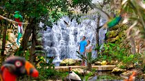 Private Tour Tulum and Night Show in the Park Xcaret