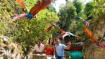 Private Tour Coba and Night Show in the Park Xcaret