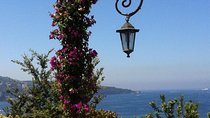 Amalfi, Positano and Sorrento Full Day Excursion from Naples