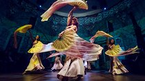 Istanbul Hodjapasha Rhythm of The Dance Show