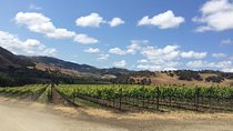  Wine Lovers Tour from Santa Barbara Area