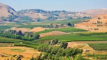 9-Night Israel Tour with Petra from Tel Aviv