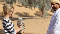 Small-Group Tour: Falcon 2—Dubai Falconry Safari