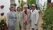 Iberian Ham Tasting Tour from Seville with Aracena Cave