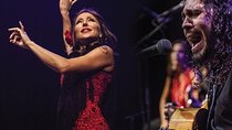 Flamenco Show & Tapas Small Group Tour in Seville