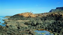 Giant's Causeway and Belfast City Murals Tour inc Game of Thrones Dark Hedges