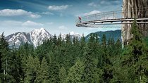 Small Group Tour: Vancouver Sightseeing and Capilano Suspension Bridge