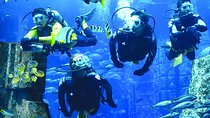 Dubai Lost Chambers Dive Discovery
