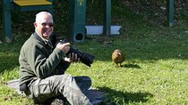 Bird Watching and Dolphin Eco-Tour from Picton