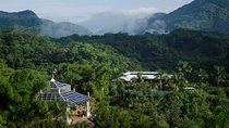 Skip the Line: Vallarta Botanical Garden Admission Ticket