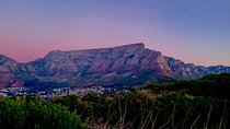 Cape Town Private Bespoke Fully Guided Day Tour