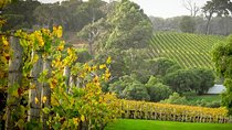 Half-Day Swan Valley & Wildlife Park Tour
