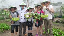 Ho Chi Minh City Full-Day Farm trip with Healthy Cooking Class