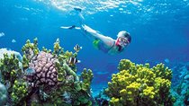 Snorkel, ATV, Zipline and Cenote Adventure from Cancun