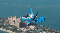 Gyrocopter The Palm