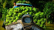 Cu chi Tunnel & Mekong Delta Full Day BBQ Lunch Lux Group 10 pax