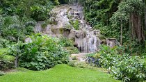 Shared Konoko Falls and Tropical Garden Tour from Runaway Bay