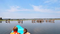1 Day trip to Hells Gate and Lake Naivasha From Nairobi