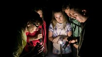All-Inclusive Jungle Night Tour