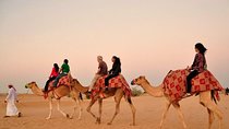 Evening Desert Safari with BBQ Dinner 