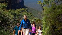 Blue Mountains Wildlife Full-Day Sights and Hiking from Sydney