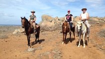 Aruba Private, 2 Hour Horseback Riding Tour For Advanced Riders