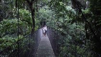 Three tours in one day around Arenal Volcano