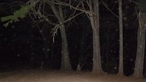 Night of Fear route Walking Tour