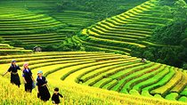 Sapa Tours 2D1N stay At 4 stars hotel nice Sleeping Bus TRANSFER 