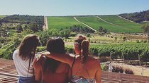Wine Beer and Biltong Safari - Stellenbosch