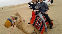 Dubai Desert Safari Adventure - Morning Tour for Private group