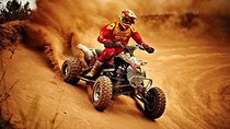 Half-Day Quad Biking in Palm Grove from Marrakech