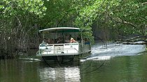 Black River Safari and YS Falls Tour from Montego Bay