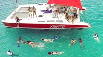 Barbados Catamaran Turtle Snorkel with Open Bar 