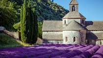 Lavender Beauty Small Group Half Day Tour from Avignon