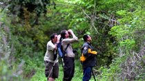 Birdwatching in Cerro Blanco from Guayaquil