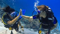 2-Dive adventure-Safe & Top-rated boat for Certified Divers