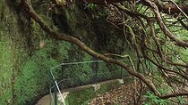 Caldeirao Verde