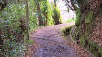 Valley de Paradise Levada Walk